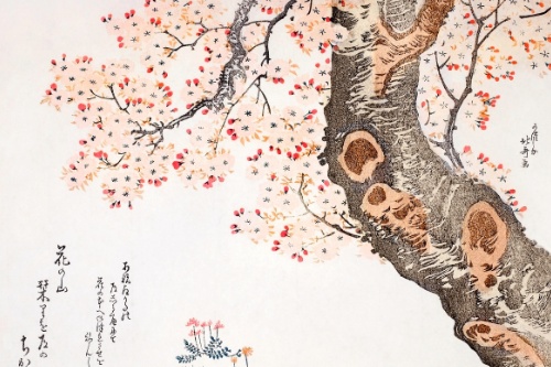 What Exactly IS Zen? Demystifying the Core Concepts