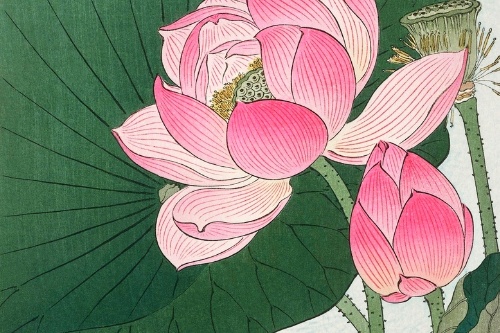 【Ikigai】More Than Just a Venn Diagram - Understanding its Deeper Meaning